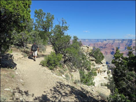 Rim Trail