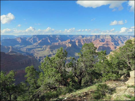 Rim Trail