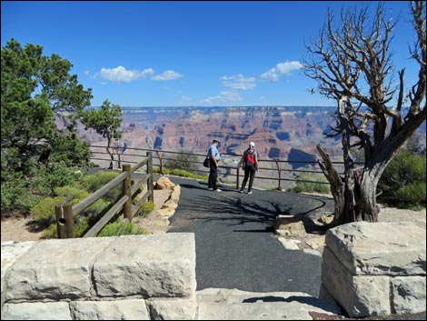 Rim Trail