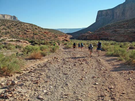 Havasu Canyon Trail