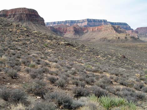 Tonto East Trail