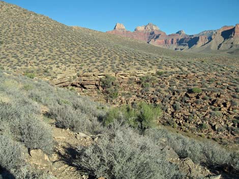 Tonto East Trail