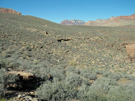 Tonto East Trail