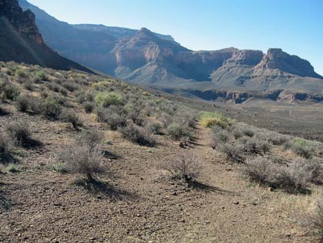 Tonto East Trail