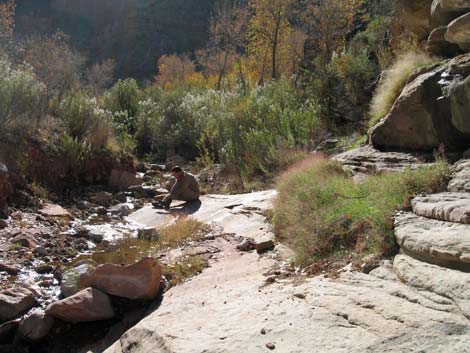 Tonto East Trail