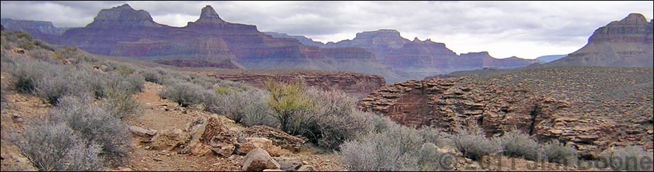 Tonto West Trail -- Horn Creek to Salt Creek