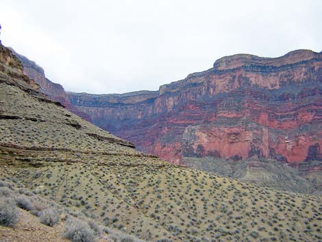 Tonto West Trail