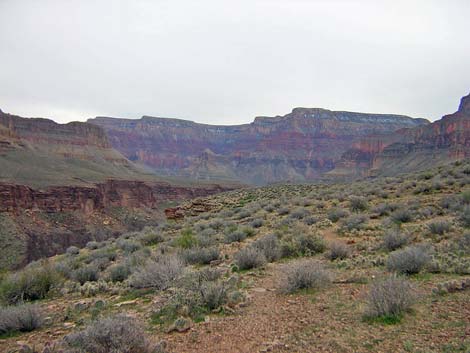 Tonto West Trail