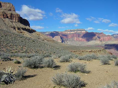 Tonto West Trail