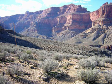 Tonto West Trail