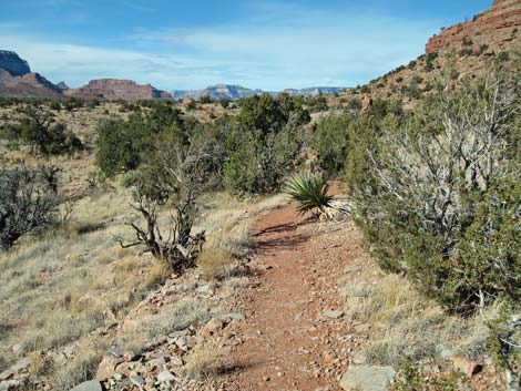 Cave-of-the-Domes Trail