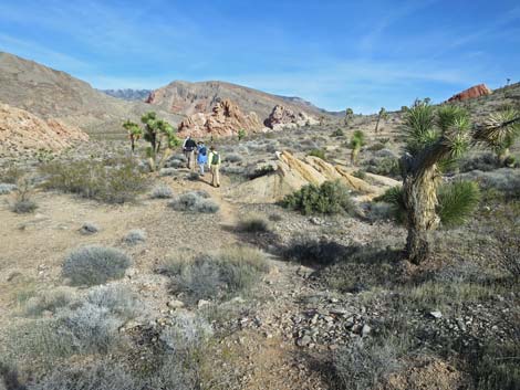 Doodlebug Arch