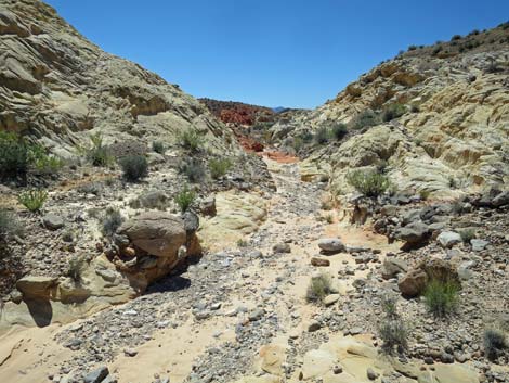 Amber Cat Canyon