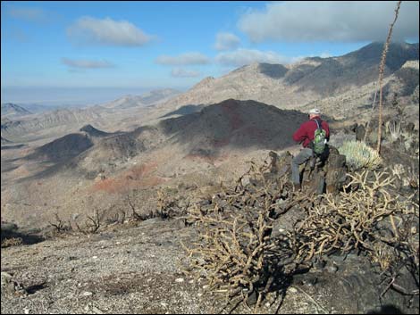 Billy Goat Peak