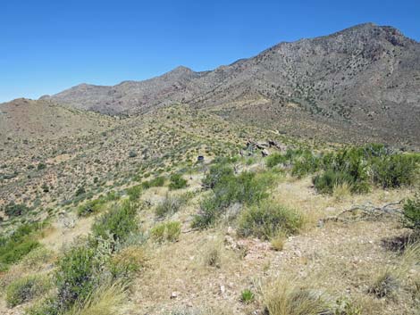 Billy Goat Peak