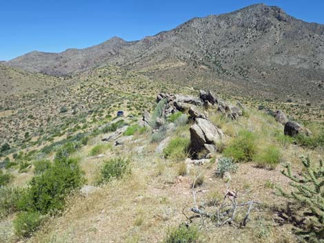 Billy Goat Peak