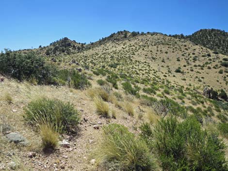 Billy Goat Peak