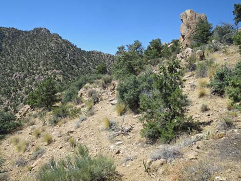 Billy Goat Peak