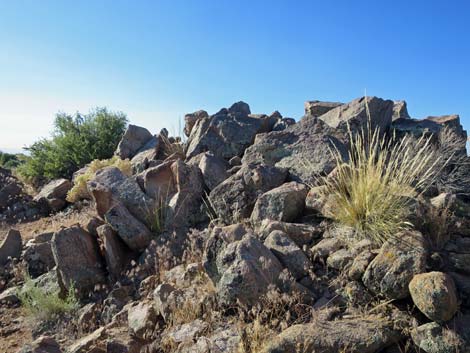 Billy Goat Peak