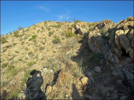 Black Butte Peak