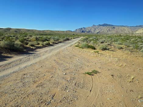 Black Butte Dam Loop