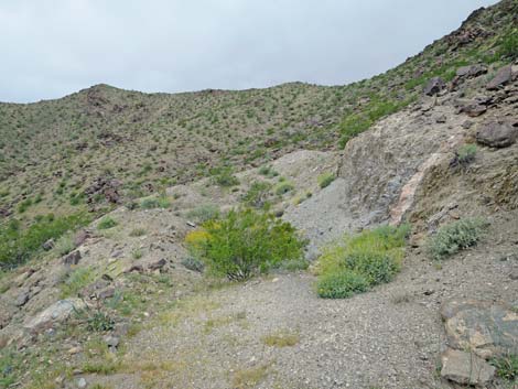 Black Ridge Mine