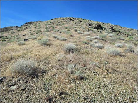 Bonelli Peak