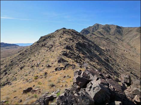 Bonelli Peak