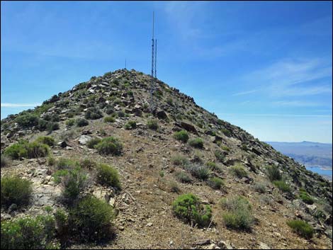 Bonelli Peak