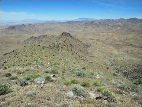 Bonelli Peak