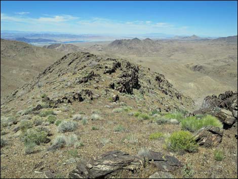 Bonelli Peak