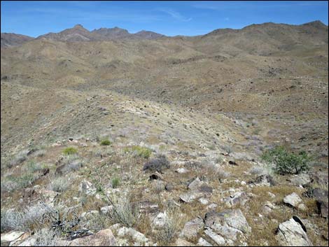 Bonelli Peak