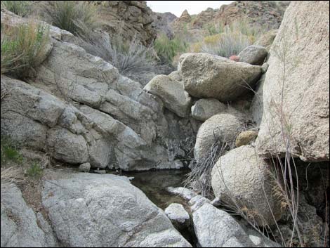 Cottonwood Canyon