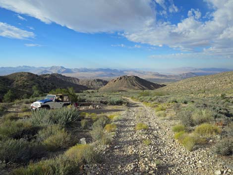 Cabin Spring Canyon Campsite