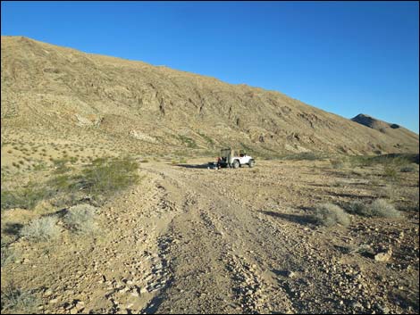 Red Bluff Spring Road Saddle Campsite