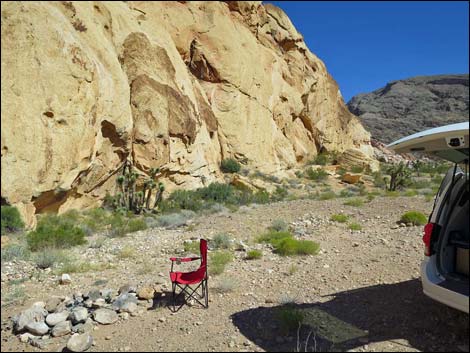 Whitney Pocket Campsite