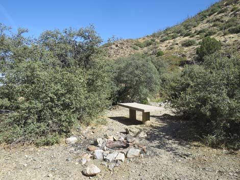 Cabin Canyon Road