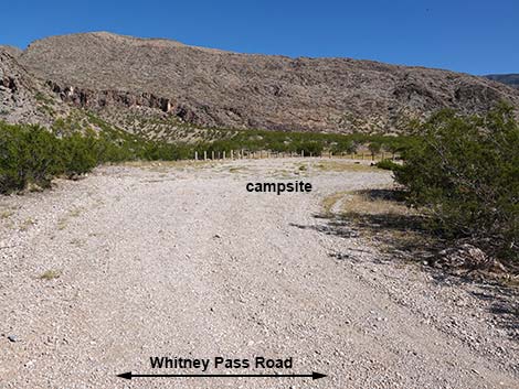 Whitney Pass Road Campsites