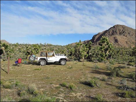 Whitney Pass Campsites