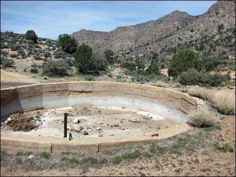 Whitney Pass Road Campsites