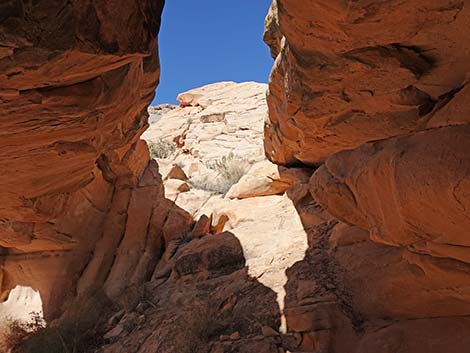 Doodlebug Arch