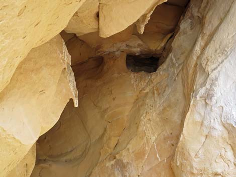 Doodlebug Arch