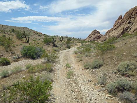 Doodlebug Canyon