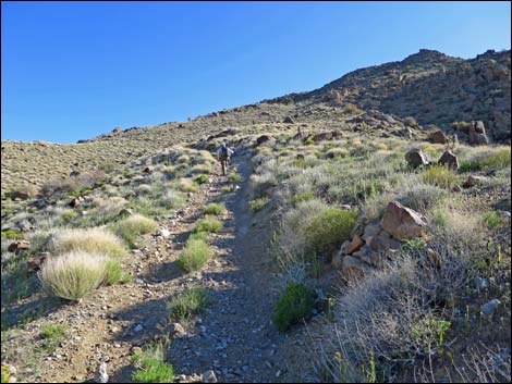 Gold Butte Peak