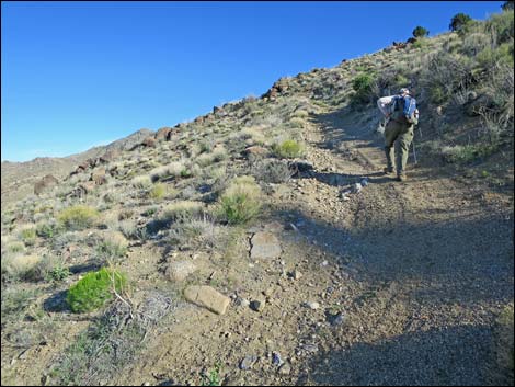 Gold Butte Peak