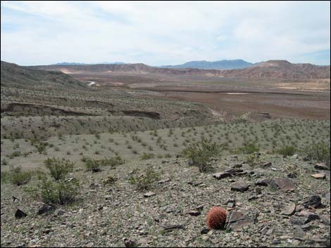 Gentry Ranch Area