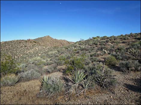 Jumbo Springs Wilderness