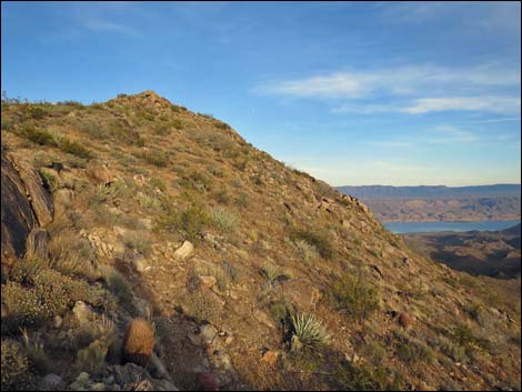 Jumbo Springs Wilderness