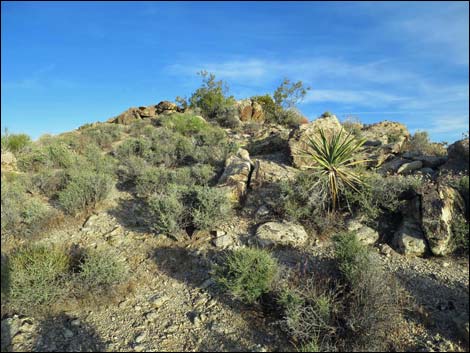 Jumbo Springs Wilderness