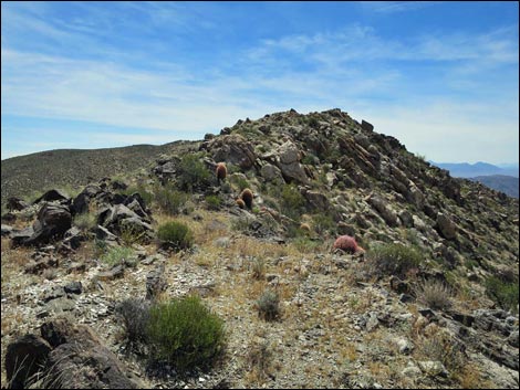 Jumbo Springs Wilderness